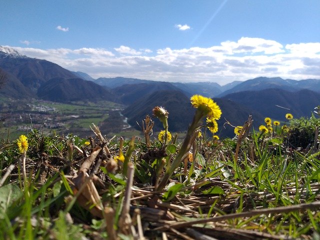 Bezpłatne pobieranie Krajobraz Góry Kwiaty Dzikie - darmowe zdjęcie lub obraz do edycji za pomocą internetowego edytora obrazów GIMP