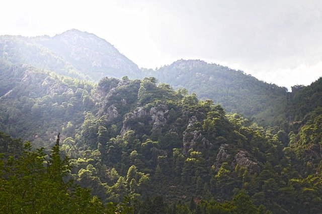 Безкоштовно завантажити Пейзаж гірського дерева - безкоштовне фото або зображення для редагування за допомогою онлайн-редактора зображень GIMP