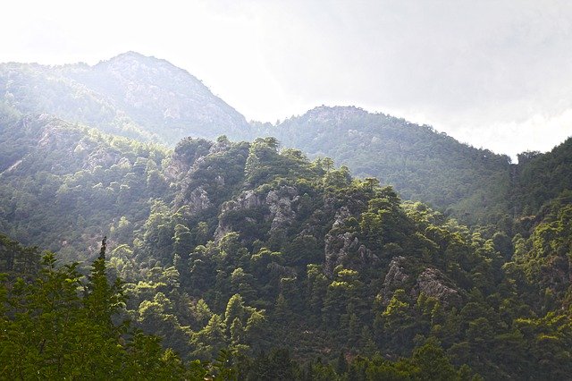 Téléchargement gratuit Paysage Montagne Arbre - photo ou image gratuite à éditer avec l'éditeur d'images en ligne GIMP