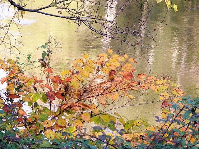 הורדה חינם Landscape Nature Fall - תמונה או תמונה בחינם לעריכה עם עורך התמונות המקוון GIMP