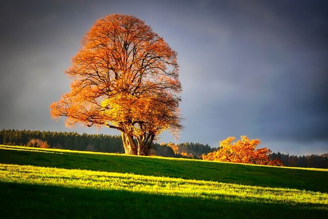 Free download landscape nature fall bavaria free picture to be edited with GIMP free online image editor
