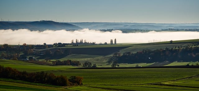 Bezpłatne pobieranie krajobrazu natura mgła drzewa zielony bezpłatny obraz do edycji za pomocą bezpłatnego edytora obrazów online GIMP