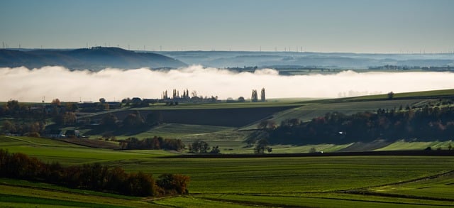 Free download landscape nature fog trees green free picture to be edited with GIMP free online image editor