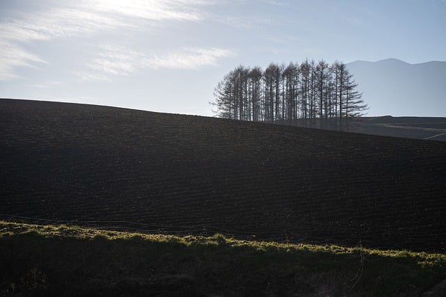 Kostenloser Download von Landschaft, Natur, Hügel, Sonnenaufgang, kostenloses Bild, das mit dem kostenlosen Online-Bildeditor GIMP bearbeitet werden kann