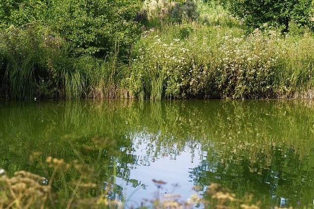 Bezpłatne pobieranie Krajobraz Natura Rośliny - bezpłatne zdjęcie lub obraz do edycji za pomocą internetowego edytora obrazów GIMP