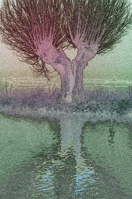 Free download Landscape Nature Scenic -  free illustration to be edited with GIMP free online image editor