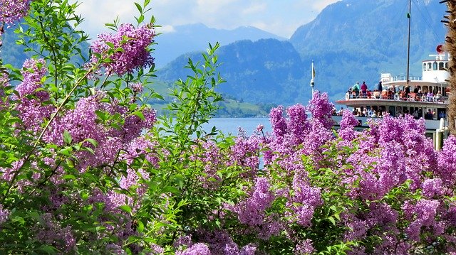 免费下载 Landscape Nature Switzerland - 可使用 GIMP 在线图像编辑器编辑的免费照片或图片