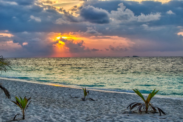 Bezpłatne pobieranie bezpłatnego zdjęcia krajobrazu oceanu na plaży i zachodu słońca do edycji za pomocą bezpłatnego edytora obrazów online GIMP