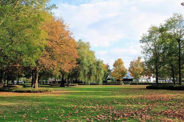 Free download Landscape Oostende Autumn Nature -  free photo or picture to be edited with GIMP online image editor