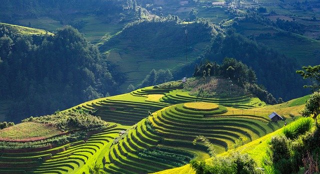 Free download landscape paddy terraces free picture to be edited with GIMP free online image editor