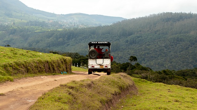 Free download landscape safari jeep offroad 4x4 free picture to be edited with GIMP free online image editor