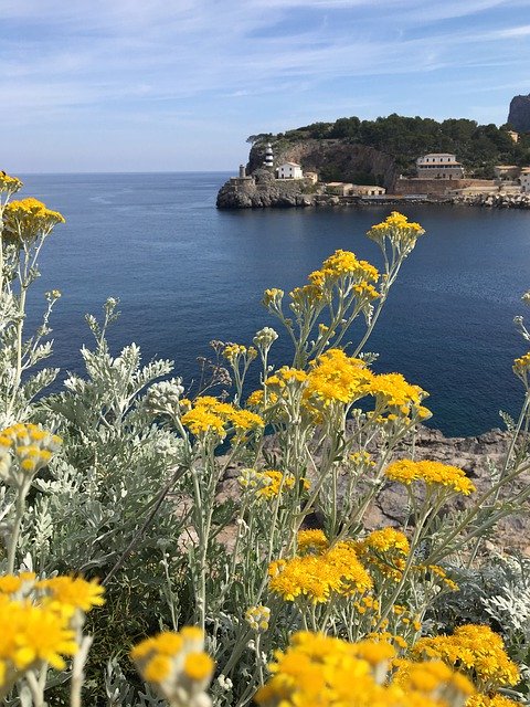 Téléchargement gratuit de Paysage Sea Cliff - photo ou image gratuite à modifier avec l'éditeur d'images en ligne GIMP