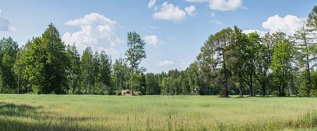 Téléchargement gratuit Paysage Saison Forêt - photo ou image gratuite à éditer avec l'éditeur d'images en ligne GIMP