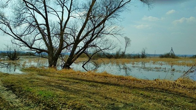 Kostenloser Download Landschaft Frühling Natur - kostenloses Foto oder Bild zur Bearbeitung mit GIMP Online-Bildbearbeitung