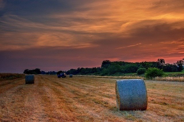 Free download Landscape Straw Field -  free photo or picture to be edited with GIMP online image editor