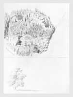 Free download Landscape Study at Faido, Tree (from Switzerland 1870 Sketchbook) free photo or picture to be edited with GIMP online image editor