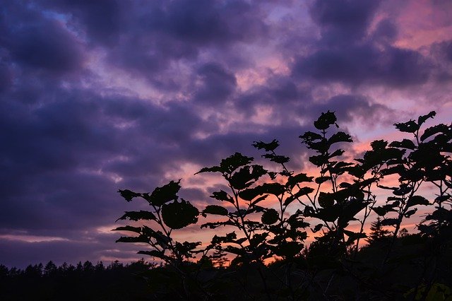 Free download Landscape Sunset Sky -  free photo or picture to be edited with GIMP online image editor