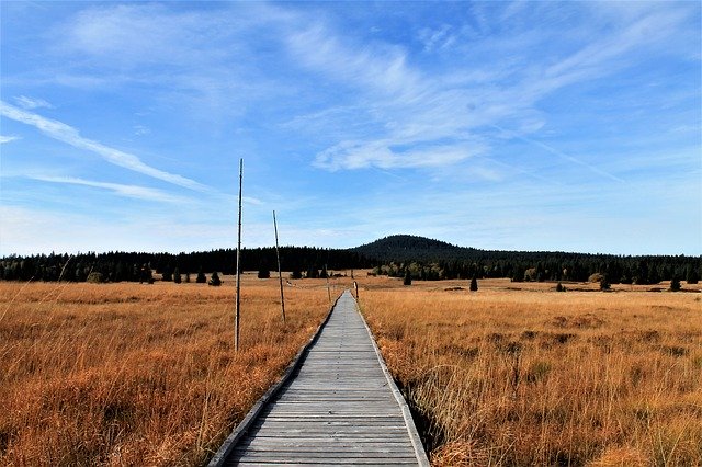 Free download Landscape Trail Autumn -  free photo or picture to be edited with GIMP online image editor