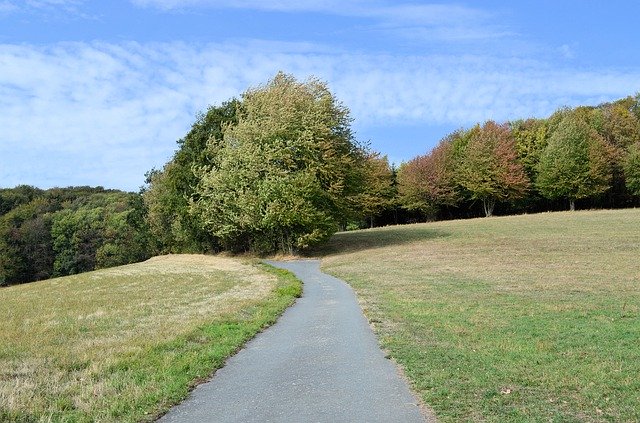 Descărcare gratuită Landscape Tree Away - fotografie sau imagini gratuite pentru a fi editate cu editorul de imagini online GIMP