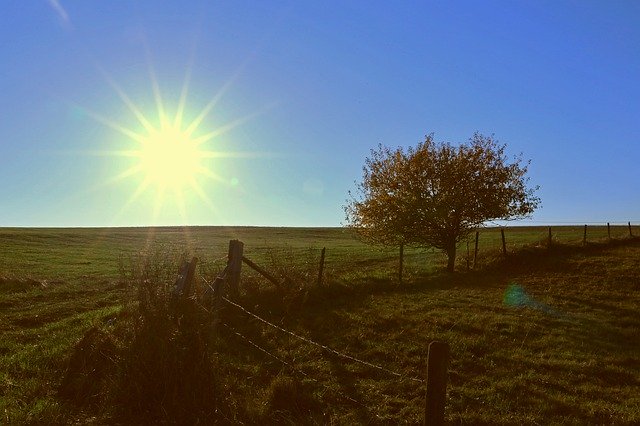 Gratis download Landschapsbomen Herfst - gratis foto of afbeelding om te bewerken met GIMP online afbeeldingseditor