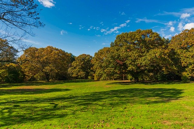 הורדה חינם של Landscape Trees Grass - תמונה או תמונה בחינם לעריכה עם עורך התמונות המקוון GIMP