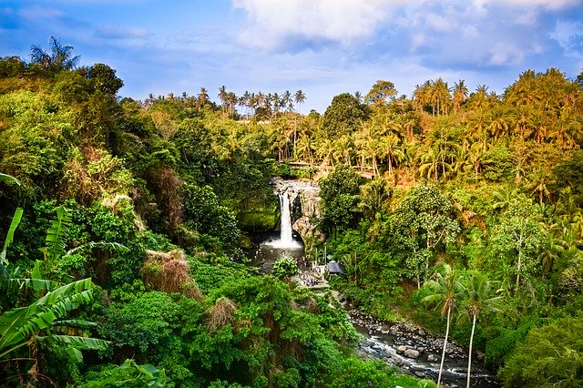 Free download Landscape Waterfall Bali -  free free photo or picture to be edited with GIMP online image editor