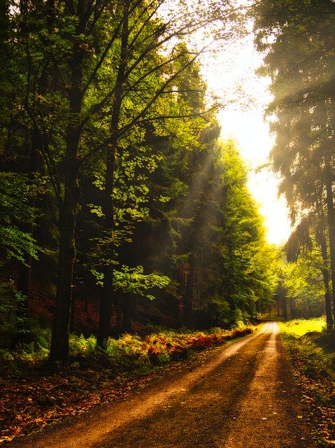 Free download Landscape Way Hiking Nature -  free photo or picture to be edited with GIMP online image editor