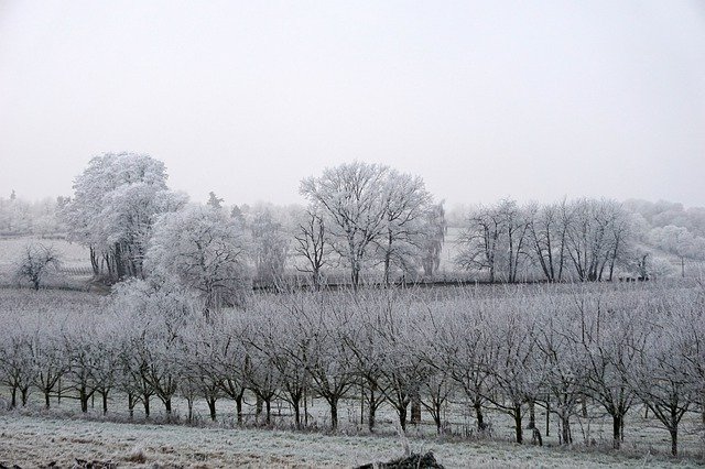 Download gratuito Landscape White Winter: foto o immagine gratuita da modificare con l'editor di immagini online GIMP