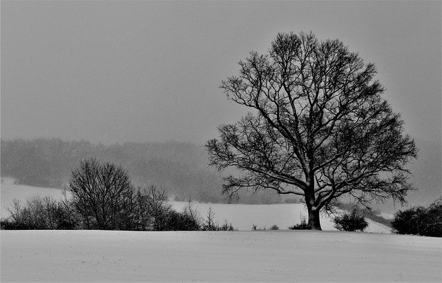 Muat turun percuma Landscape Winter Snow - foto atau gambar percuma untuk diedit dengan editor imej dalam talian GIMP