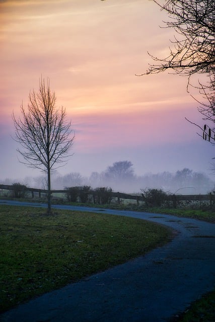 Kostenloser Download Landschaft Winter Sonnenuntergang Baumstimmung kostenloses Bild zur Bearbeitung mit dem kostenlosen Online-Bildeditor GIMP