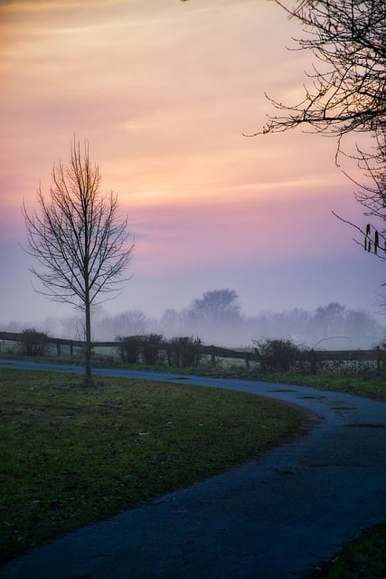 Free download landscape winter sunset tree mood free picture to be edited with GIMP free online image editor