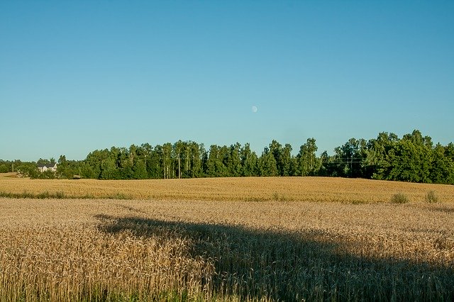 تحميل مجاني Landscape Yields Sky - صورة مجانية أو صورة لتحريرها باستخدام محرر الصور عبر الإنترنت GIMP