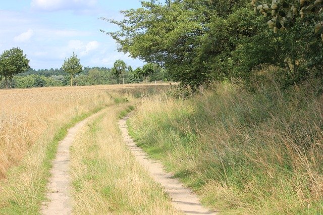 Free download Lane Heat Summer -  free photo or picture to be edited with GIMP online image editor