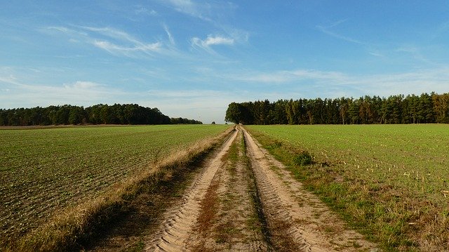 Скачать бесплатно Lane Nature Landscape - бесплатное фото или изображение для редактирования с помощью онлайн-редактора изображений GIMP