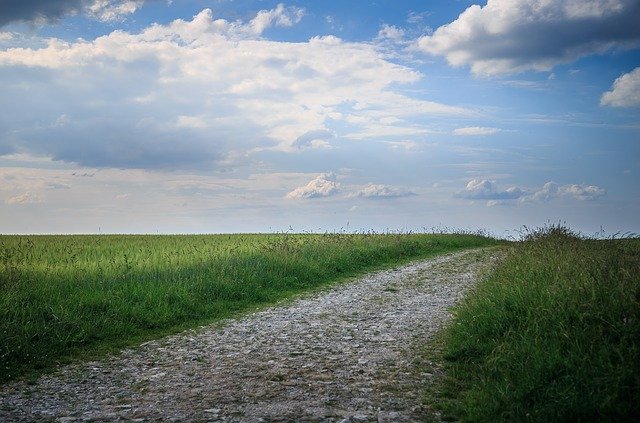 무료 다운로드 Lane Spring Landscape Barren - 무료 사진 또는 GIMP 온라인 이미지 편집기로 편집할 수 있는 사진