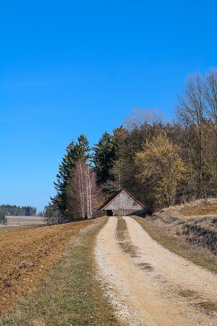 Baixar Lane Trail Promenade - foto ou imagem grátis para ser editada com o editor de imagens online GIMP