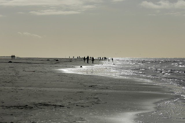 Free download Langeoog Beach East Frisia North -  free photo or picture to be edited with GIMP online image editor