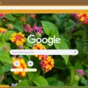 Lantana  screen for extension Chrome web store in OffiDocs Chromium