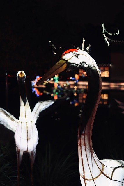 Free download Lantern Color Night -  free photo or picture to be edited with GIMP online image editor