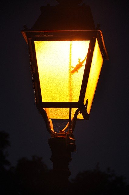 Gratis download Lantern Lighting Evening - gratis foto of afbeelding om te bewerken met GIMP online afbeeldingseditor