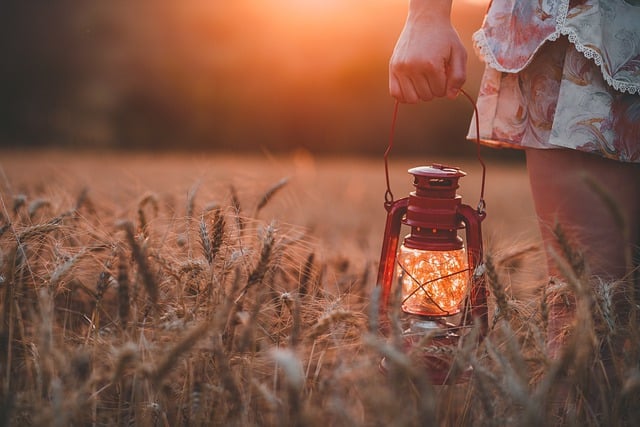 Free download lantern light wheat nature free picture to be edited with GIMP free online image editor