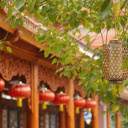 Lantern on the tree  screen for extension Chrome web store in OffiDocs Chromium