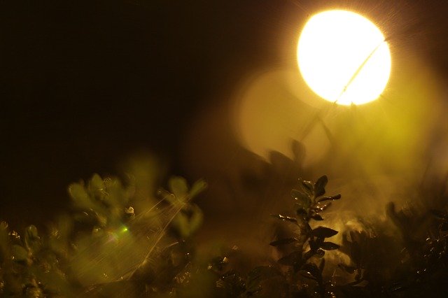 Téléchargement gratuit Lantern Rain Night - photo ou image gratuite à éditer avec l'éditeur d'images en ligne GIMP