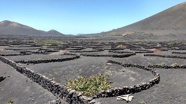Free download Lanzarote Wine Landscape Volcanic -  free photo or picture to be edited with GIMP online image editor