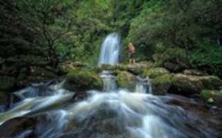 Free download LaoNatures free photo or picture to be edited with GIMP online image editor