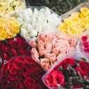 Large bouquets of roses  screen for extension Chrome web store in OffiDocs Chromium