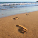 Large footprints in the sand  screen for extension Chrome web store in OffiDocs Chromium