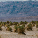 Large Grasses  screen for extension Chrome web store in OffiDocs Chromium Large Grasses  screen for extension Chrome web store in OffiDocs Chromium