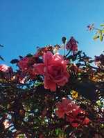 Free download Las olas me castigan ardiendo. free photo or picture to be edited with GIMP online image editor