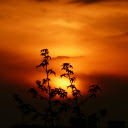 Late afternoon  screen for extension Chrome web store in OffiDocs Chromium